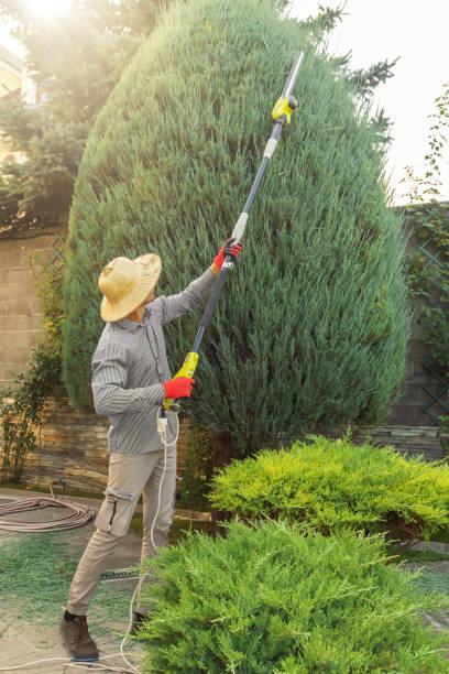 Best Commercial Tree Services  in Suncook, NH